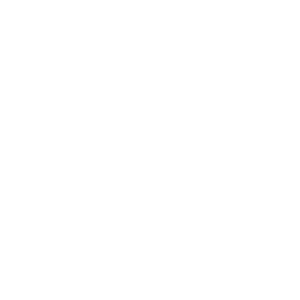 Esoteric Acoustics Logo