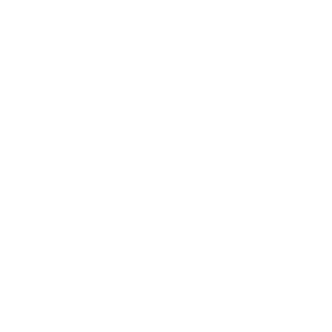 Advance Paris Logo