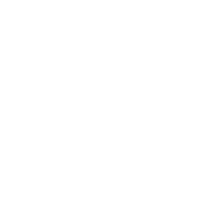 Bryston Logo