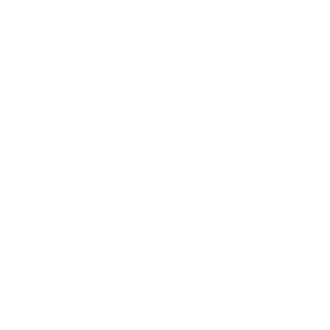 Bowers & Wilkins Logo