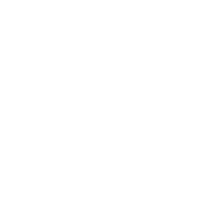 Marantz Logo