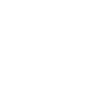 marten-logo-300x300